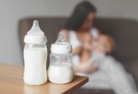 2019.06.19泌乳小圖規格200X136