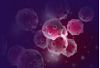 20200203小BNshutterstock 651722116